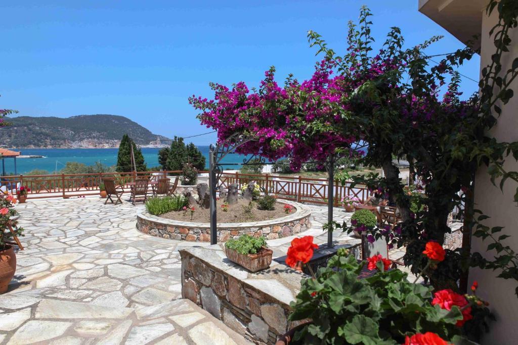 Pleoussa Studio And Apartments Skopelos Exteriér fotografie